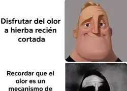 Con lo que me gustaba el olor de hierba...
