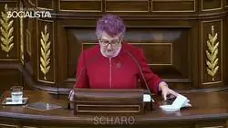 Equipo de investigaci&oacute;n: Charocracia