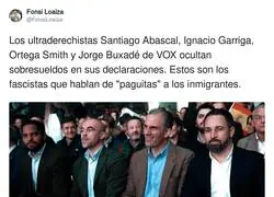 Lo que esconden en VOX