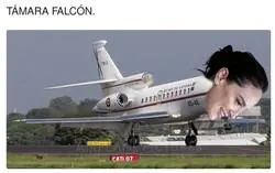 La tonter&iacute;a del d&iacute;a