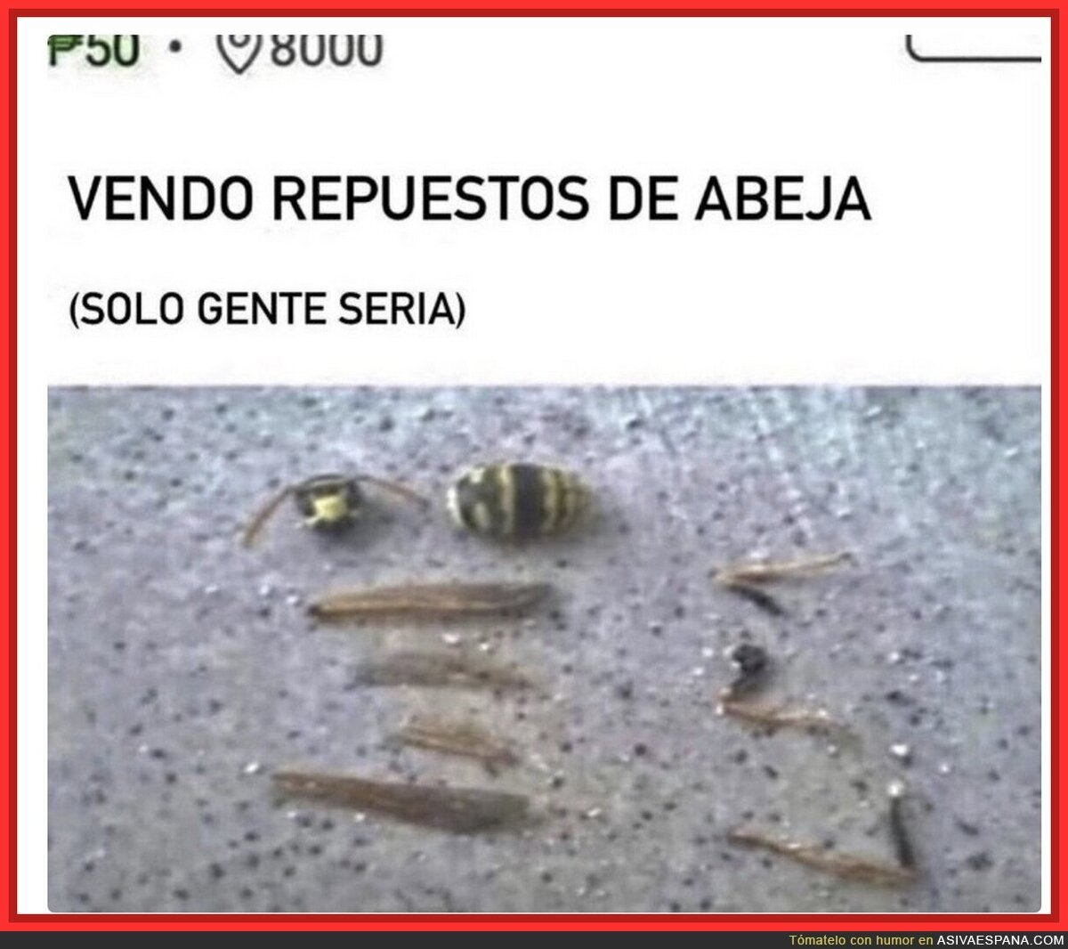 (solo gente seria)