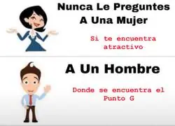 La curiosidad mat&oacute; al gato