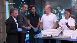 El Hormiguero le ve las orejas al lobo y lleva a cient&iacute;ficos de verdad