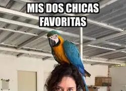 Como el palo de una escoba