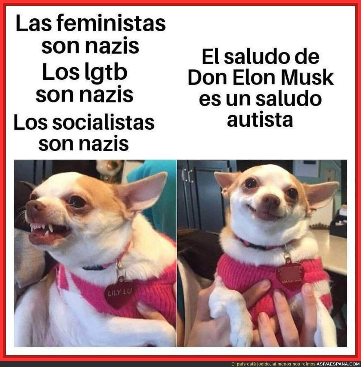 Así es la ultraderecha