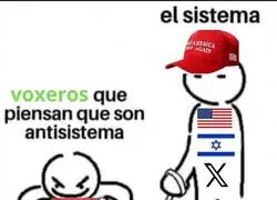 Pobres ilusos los de VOX