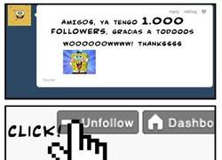 Enlace a Followers...