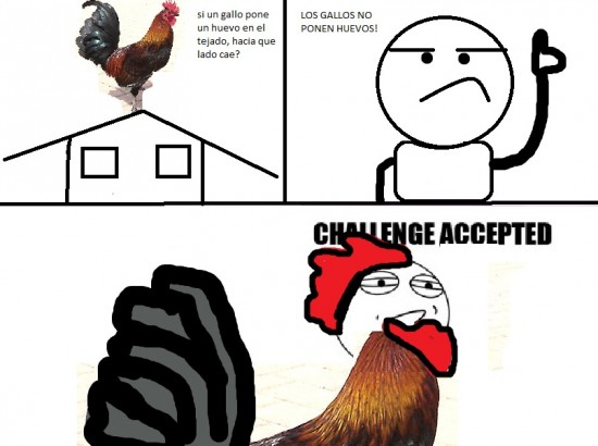 challenge accepted,gallos,huevos,tejado