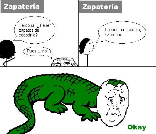 Cocodrilo,Okay,Zapatería