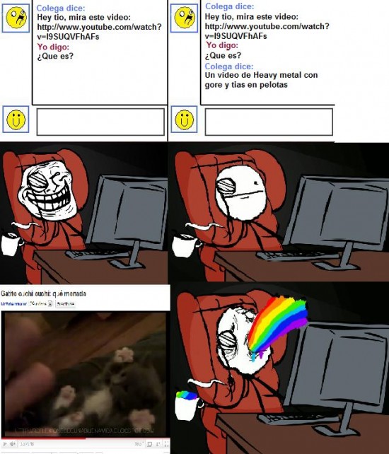 Gatos,Heavy Metal,monos,MSN,puke Rainbows