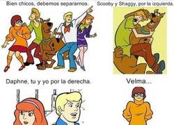 Enlace a ... y Velma
