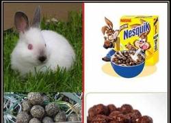 Enlace a NesquikTroll