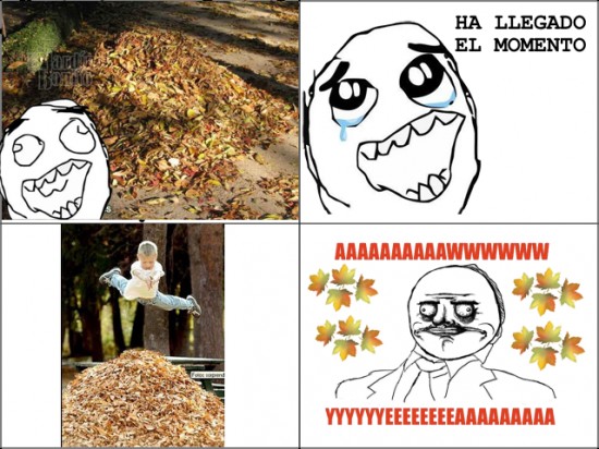 aaaaaaawwwww yeeeeeaaaahhh,aww yea,hojas,me gusta,secas