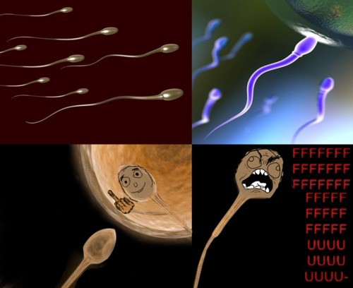 espermatozoides,fffuu,rage guy