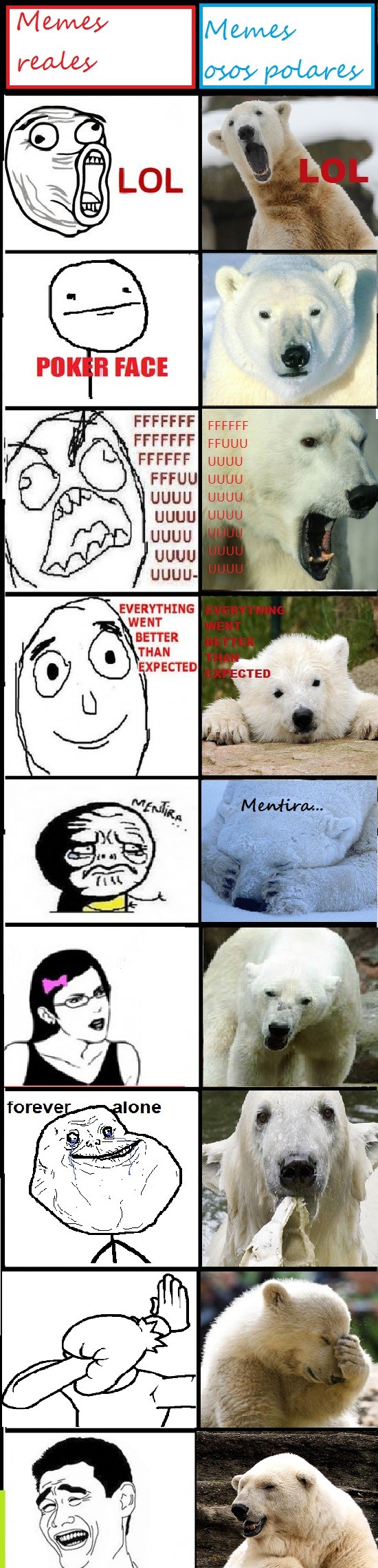 animal,oso,polar