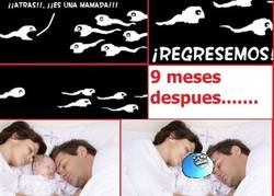 Enlace a Esperma Mentirosa