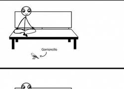 Enlace a Salidos, los hay en todas las especies