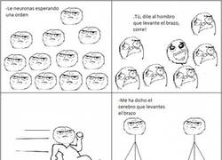 Enlace a Todas las mañanas igual