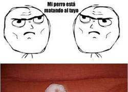 Enlace a Cachorritos celestiales