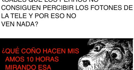 Cuanto Cabron El Perro No Puede Ver La Tele