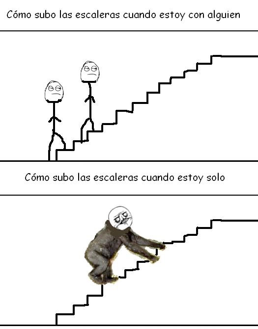 acompañado,escaleras,mono,solo,subir