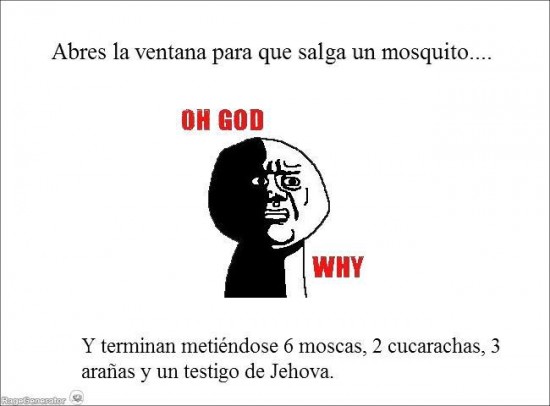 cucaracha,mosca,mozquito,Oh God why,testigo de Jehova