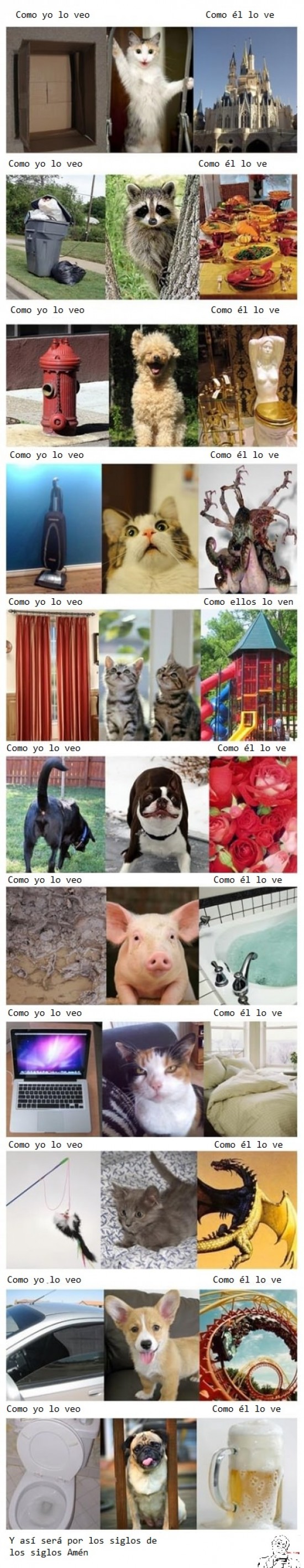gatos,perros,primera viñeta publicada,true story