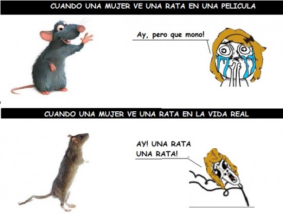 Omg_run - Las ratas en la vida real no son tan monas