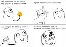 Enlace a Gatos multiusos