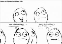 Enlace a El Ornitrollogo