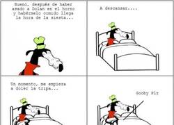 Enlace a El retorno de Dolan