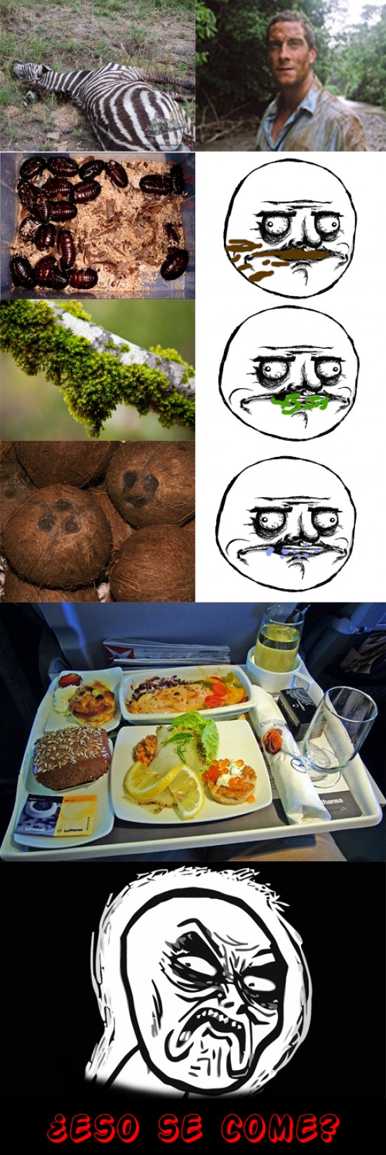 Infinito_desprecio - Bear Grylls, tiene otro concepto de la comida