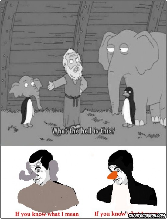 cruce,elefante,if you know what i mean,pinguino