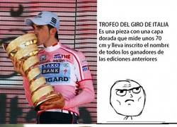 Enlace a Made in Spain