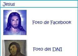 Enlace a Nadie se salva