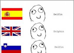 Enlace a Los delfines de Malasia son especiales