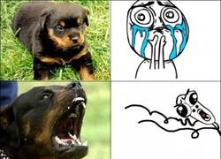 Enlace a Cuando crece no es lo mismo...