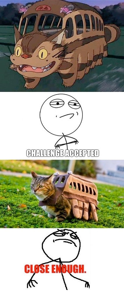 Challenge_accepted - Gato Bus