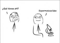 Enlace a Enorgulleced a papá