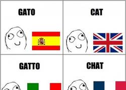 Enlace a Sutiles diferencias lingüísticas