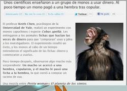 Enlace a Shut up and take my monkey