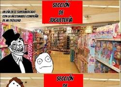 Enlace a Nunca salgas a comprar con trolldad