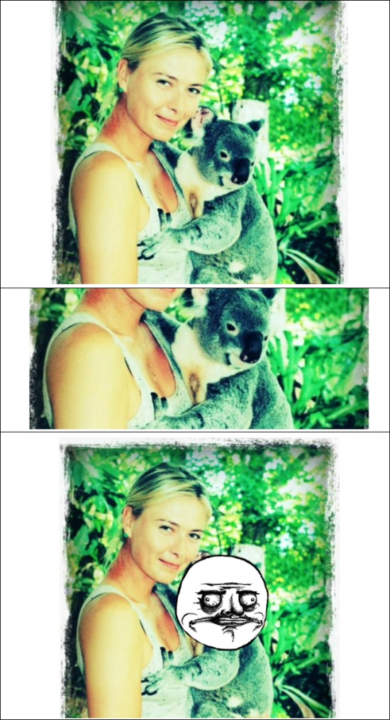 Me_gusta - El Koala de Sharapova