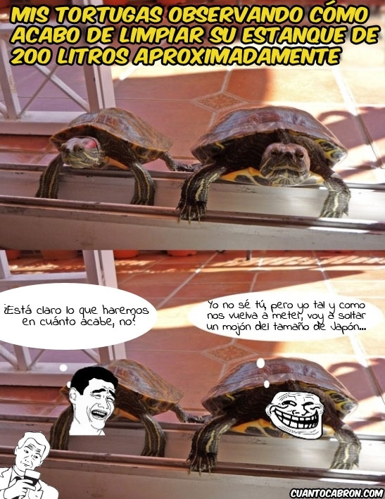 Trollface - Tortugas Troll