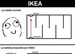 Enlace a El eterno intento de salir de IKEA