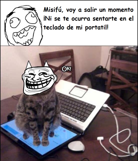 gato,laptop,portatil,sentarse,teclado,trollface
