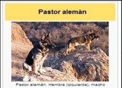 Enlace a Eso sería lo lógico