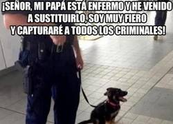 Enlace a Vamos pequeño, tú puedes