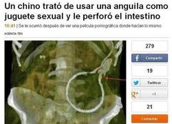 Enlace a Anguila homófoba