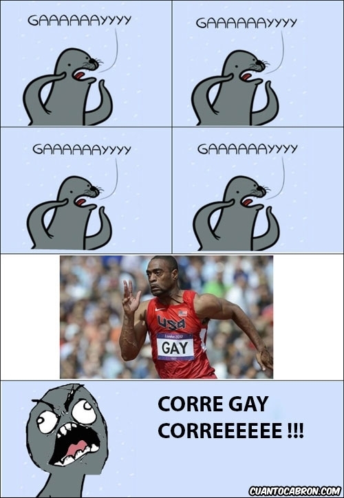 atleta,gaaaaaay,homophobic seal,novia homofoba,USA